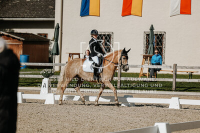 © Niki Buchegger, turnier-fotos.at