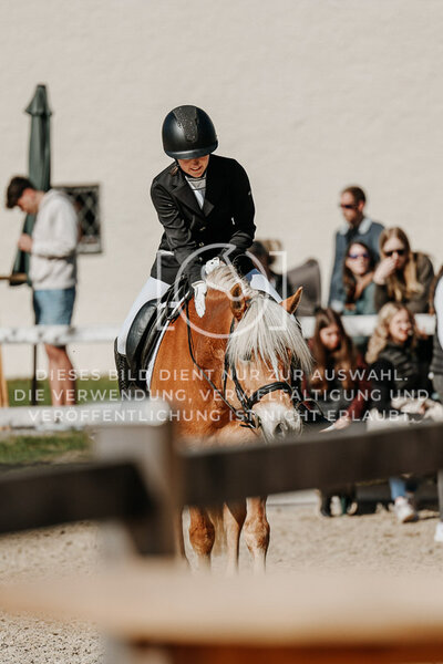 © Niki Buchegger, turnier-fotos.at