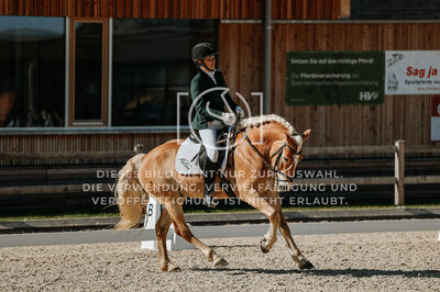 © Niki Buchegger, turnier-fotos.at