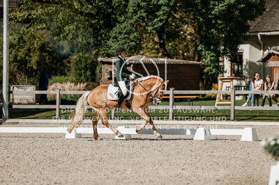 © Niki Buchegger, turnier-fotos.at