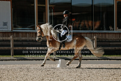 © Niki Buchegger, turnier-fotos.at