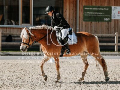 © Niki Buchegger, turnier-fotos.at