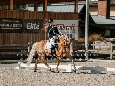 © Niki Buchegger, turnier-fotos.at