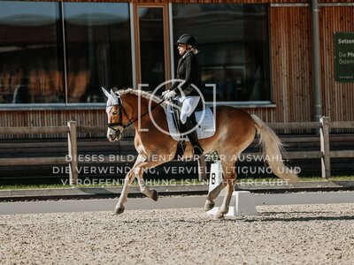 © Niki Buchegger, turnier-fotos.at