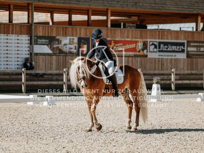 © Niki Buchegger, turnier-fotos.at
