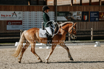 © Niki Buchegger, turnier-fotos.at