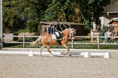 © Niki Buchegger, turnier-fotos.at