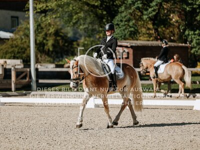 © Niki Buchegger, turnier-fotos.at