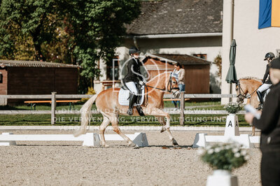 © Niki Buchegger, turnier-fotos.at