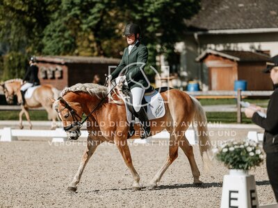 © Niki Buchegger, turnier-fotos.at