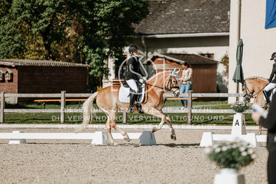 © Niki Buchegger, turnier-fotos.at