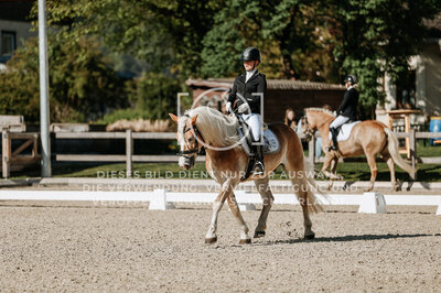 © Niki Buchegger, turnier-fotos.at