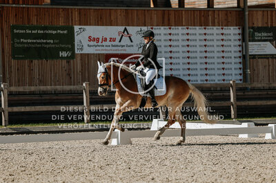 © Niki Buchegger, turnier-fotos.at