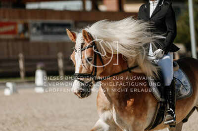 © Niki Buchegger, turnier-fotos.at