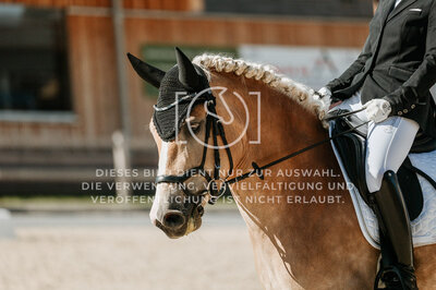 © Niki Buchegger, turnier-fotos.at