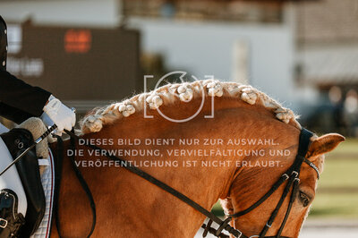 © Niki Buchegger, turnier-fotos.at
