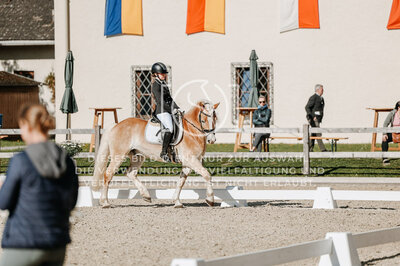 © Niki Buchegger, turnier-fotos.at