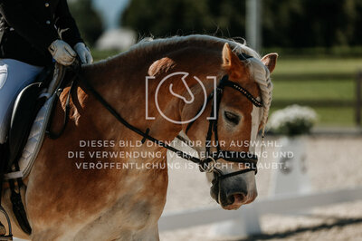 © Niki Buchegger, turnier-fotos.at