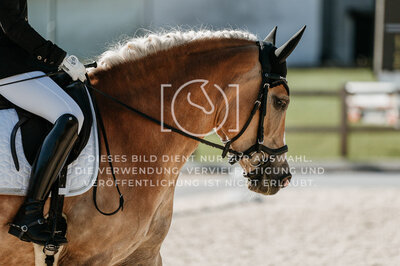 © Niki Buchegger, turnier-fotos.at