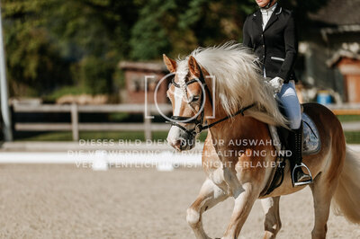 © Niki Buchegger, turnier-fotos.at