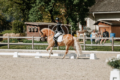 © Niki Buchegger, turnier-fotos.at