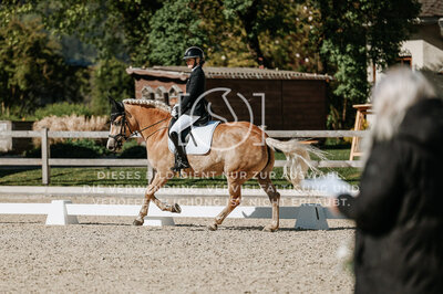 © Niki Buchegger, turnier-fotos.at