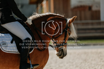 © Niki Buchegger, turnier-fotos.at