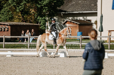 © Niki Buchegger, turnier-fotos.at