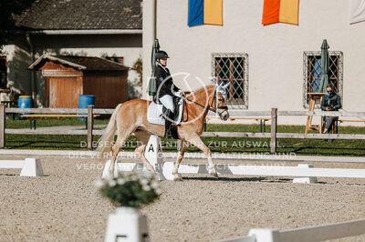 © Niki Buchegger, turnier-fotos.at