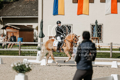 © Niki Buchegger, turnier-fotos.at