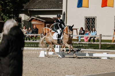© Niki Buchegger, turnier-fotos.at