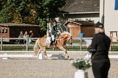 © Niki Buchegger, turnier-fotos.at