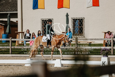 © Niki Buchegger, turnier-fotos.at