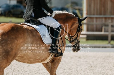 © Niki Buchegger, turnier-fotos.at