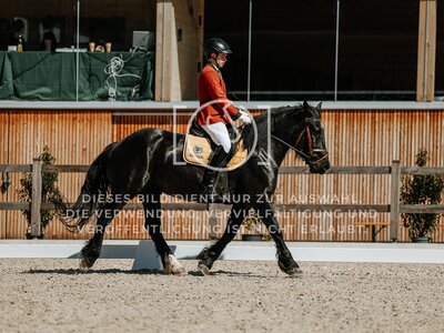 © Niki Buchegger, turnier-fotos.at