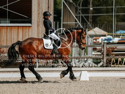 © Niki Buchegger, turnier-fotos.at