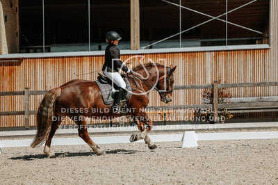 © Niki Buchegger, turnier-fotos.at