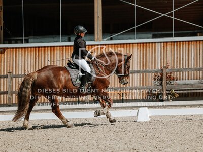 © Niki Buchegger, turnier-fotos.at