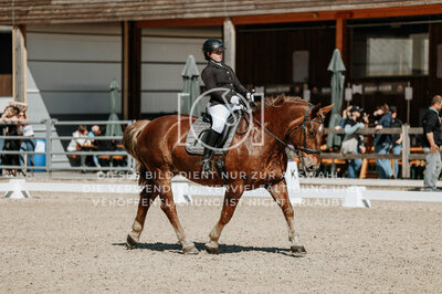 © Niki Buchegger, turnier-fotos.at