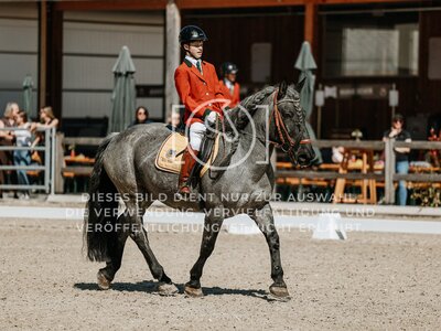 © Niki Buchegger, turnier-fotos.at