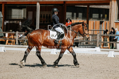 © Niki Buchegger, turnier-fotos.at