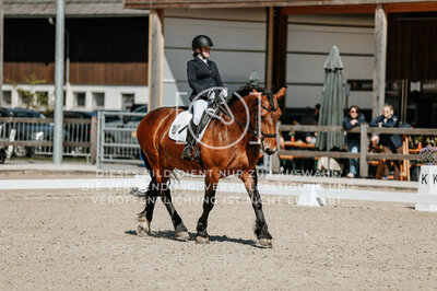 © Niki Buchegger, turnier-fotos.at