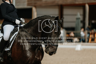 © Niki Buchegger, turnier-fotos.at
