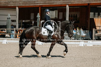 © Niki Buchegger, turnier-fotos.at