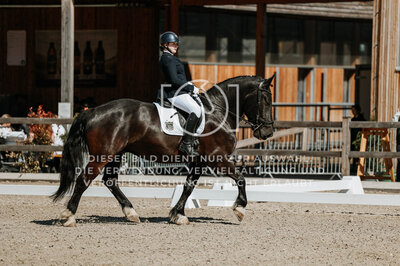 © Niki Buchegger, turnier-fotos.at