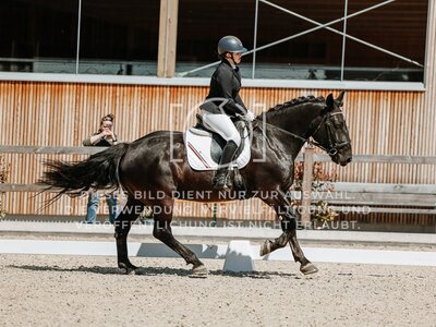 © Niki Buchegger, turnier-fotos.at