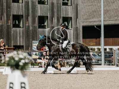 © Niki Buchegger, turnier-fotos.at
