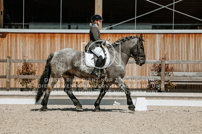 © Niki Buchegger, turnier-fotos.at