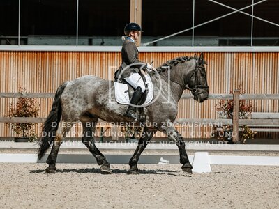 © Niki Buchegger, turnier-fotos.at