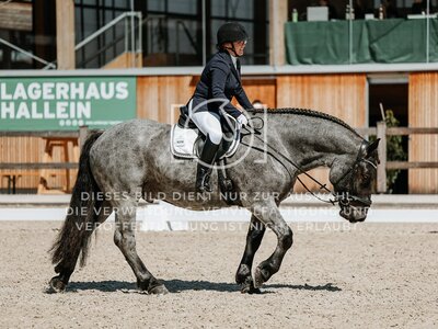 © Niki Buchegger, turnier-fotos.at